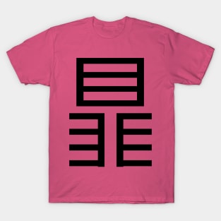 3 words in 1 word | eye 瞐 T-Shirt